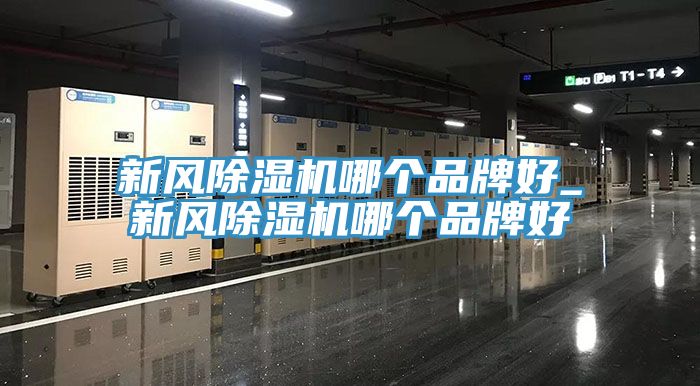 新風榴莲视频官网APP哪個品牌好_新風榴莲视频官网APP哪個品牌好