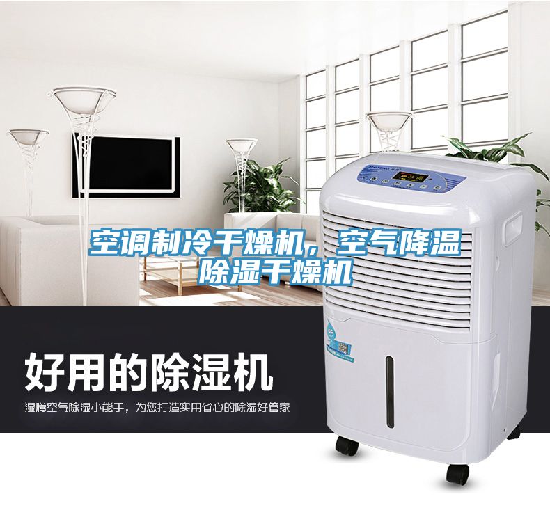 空調製冷幹燥機，空氣降溫除濕幹燥機