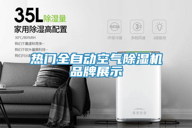 熱門全自動空氣榴莲视频官网APP品牌展示