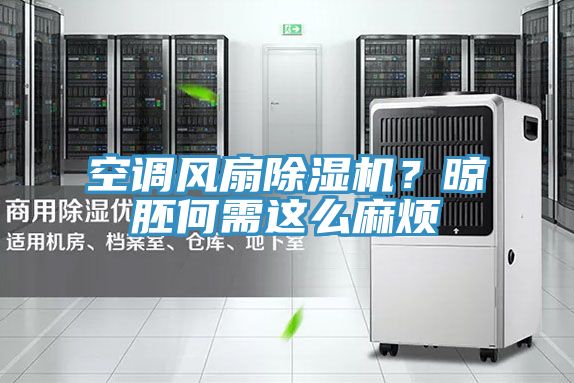 空調風扇榴莲视频官网APP？晾胚何需這麽麻煩