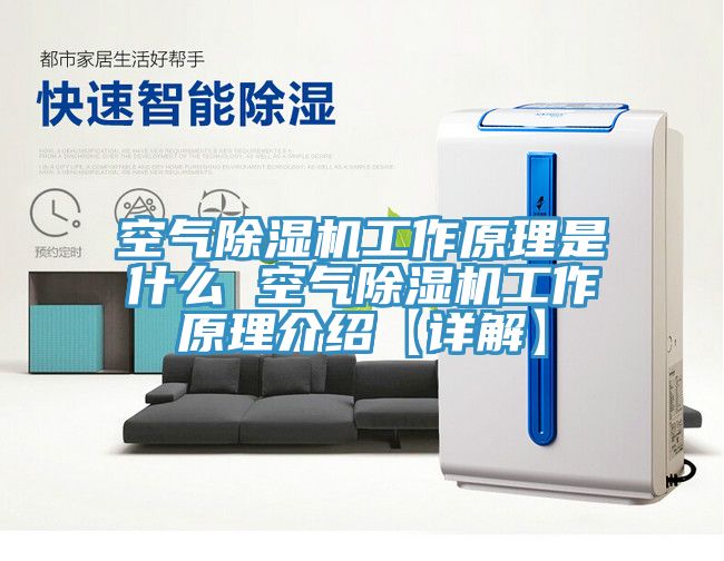 空氣榴莲视频官网APP工作原理是什麽 空氣榴莲视频官网APP工作原理介紹【詳解】