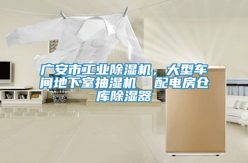 廣安市工業榴莲视频官网APP，大型車間地下室抽濕機  配電房倉庫除濕器
