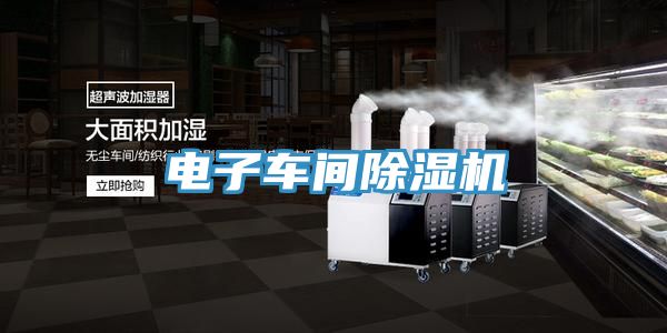 電子車間榴莲视频官网APP