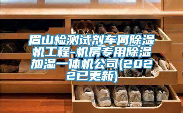 眉山檢測試劑車間榴莲视频官网APP工程-機房專用除濕加濕一體機公司(2022已更新)