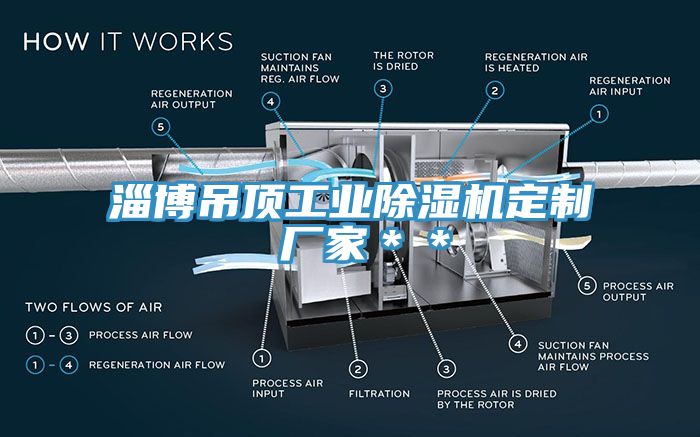 淄博吊頂工業榴莲视频官网APP定製 廠家＊＊