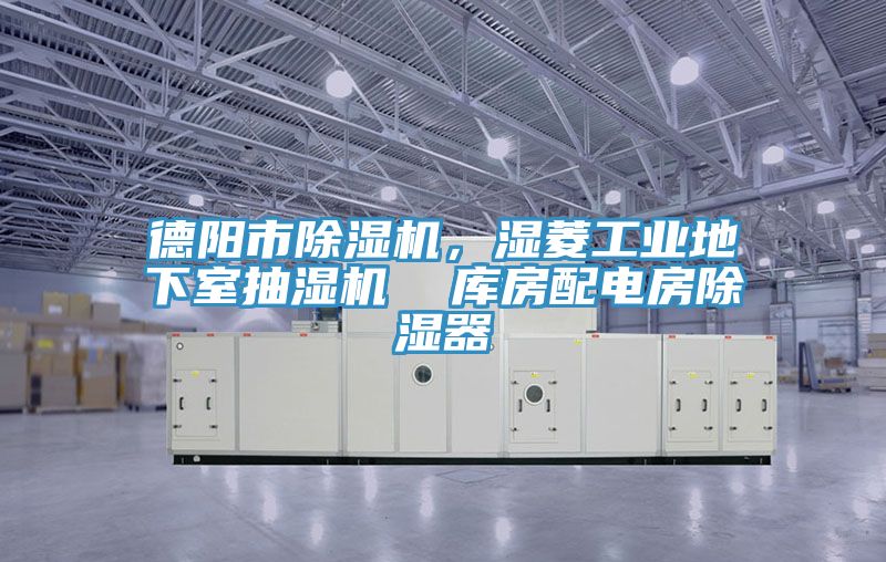 德陽市榴莲视频官网APP，濕菱工業地下室抽濕機  庫房配電房除濕器