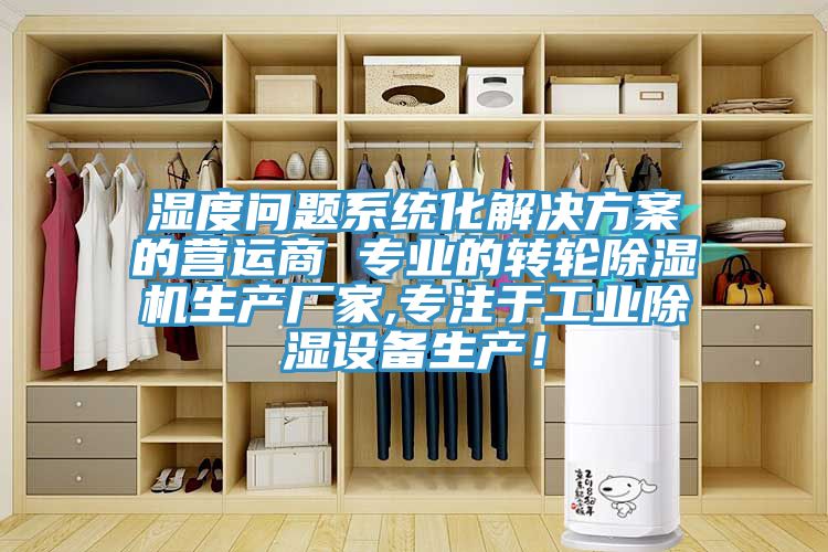 濕度問題係統化解決方案的營運商 專業的轉輪榴莲视频官网APP生產廠家,專注於工業除濕設備生產！