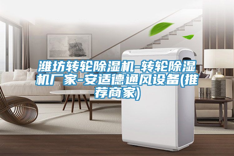 濰坊轉輪榴莲视频官网APP-轉輪榴莲视频官网APP廠家-安適德通風設備(推薦商家)