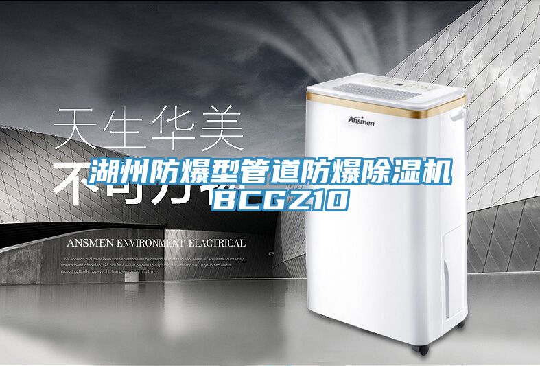 湖州防爆型管道防爆榴莲视频官网APP BCGZ10