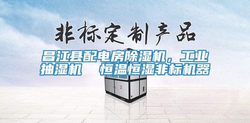昌江縣配電房榴莲视频官网APP，工業抽濕機  恒溫恒濕非標機器