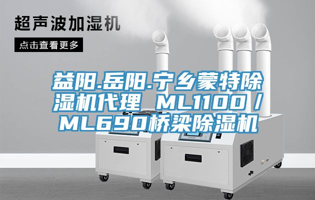 益陽.嶽陽.寧鄉蒙特榴莲视频官网APP代理 ML1100／ML690橋梁榴莲视频官网APP