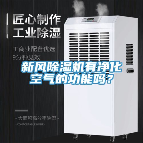 新風榴莲视频官网APP有淨化空氣的功能嗎？