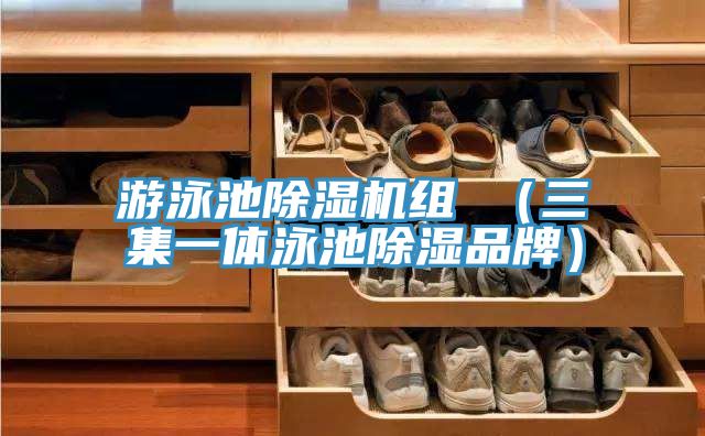 遊泳池榴莲视频官网APP組 （三集一體泳池除濕品牌）