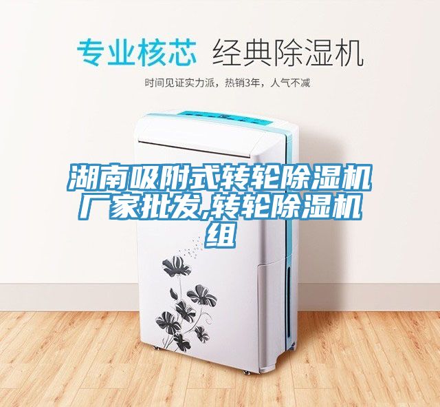 湖南吸附式轉輪榴莲视频官网APP廠家批發,轉輪榴莲视频官网APP組