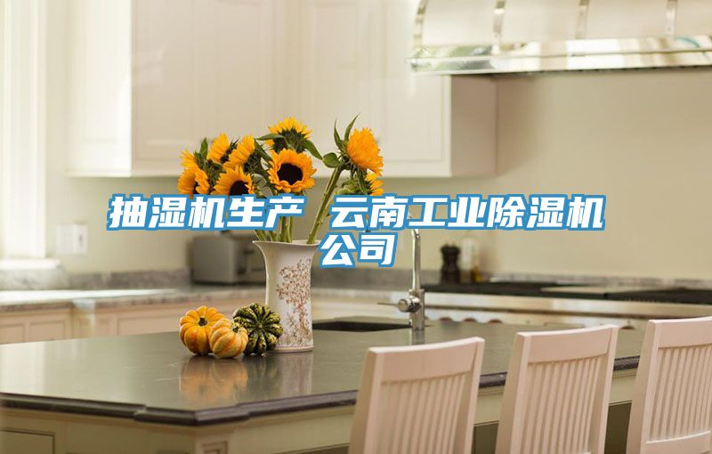 抽濕機生產 雲南工業榴莲视频官网APP公司