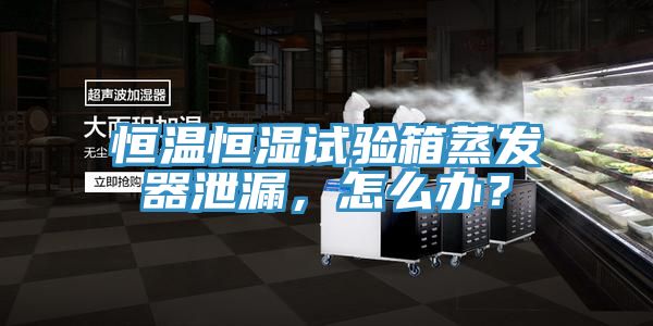 恒溫恒濕試驗箱蒸發器泄漏，怎麽辦？