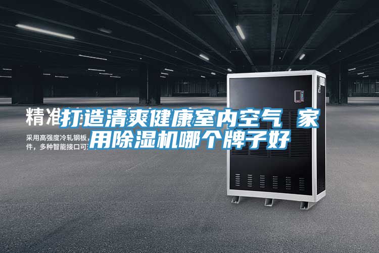 打造清爽健康室內空氣 家用榴莲视频官网APP哪個牌子好