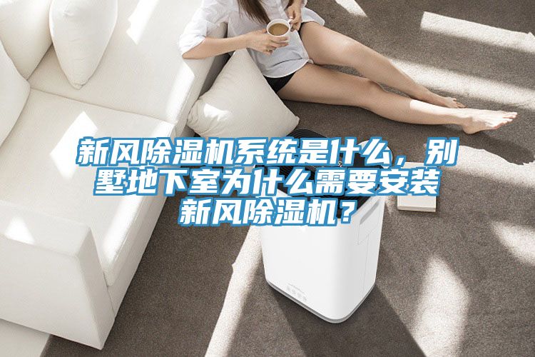 新風榴莲视频官网APP係統是什麽，別墅地下室為什麽需要安裝新風榴莲视频官网APP？