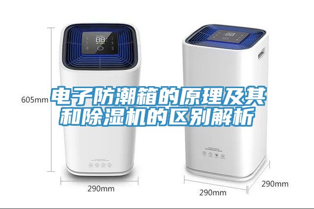 電子防潮箱的原理及其和榴莲视频官网APP的區別解析