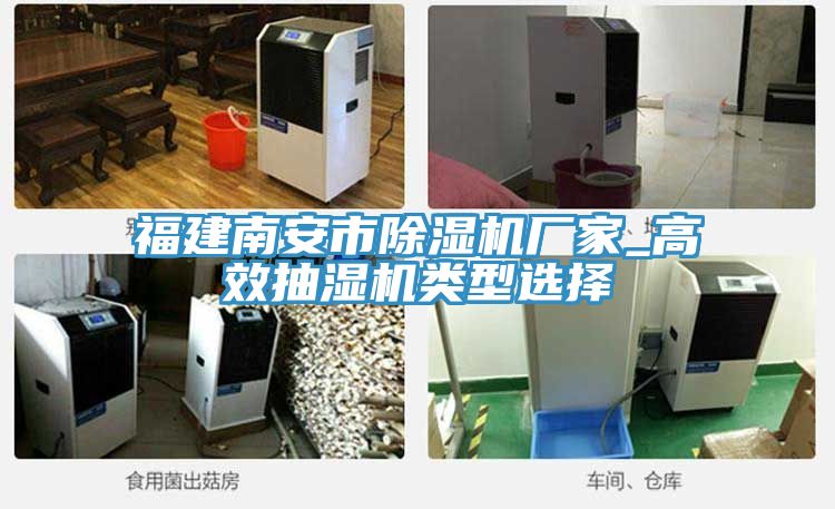 福建南安市榴莲视频官网APP廠家_高效抽濕機類型選擇