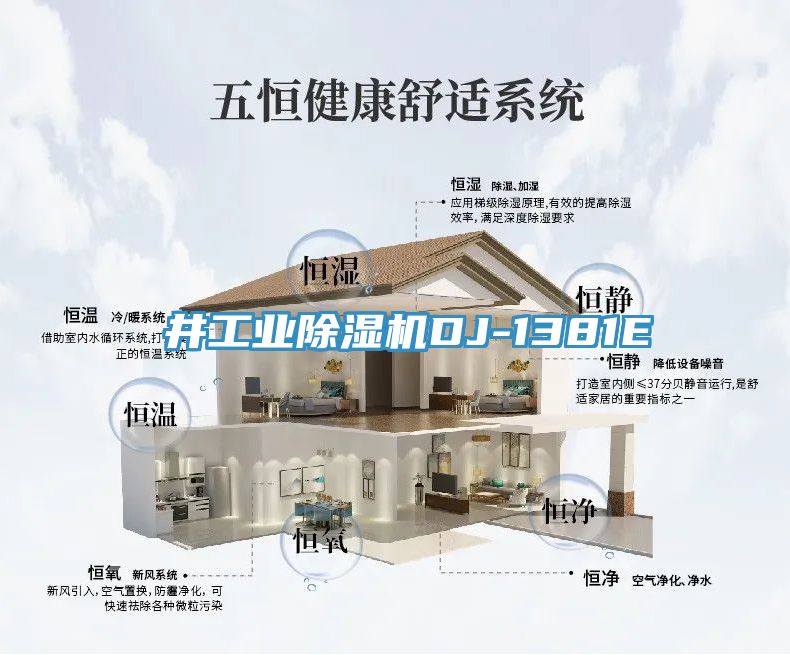 東井工業榴莲视频官网APPDJ-1381E