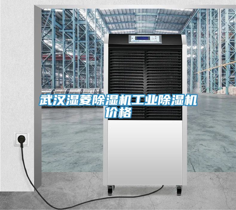 武漢濕菱榴莲视频官网APP工業榴莲视频官网APP價格