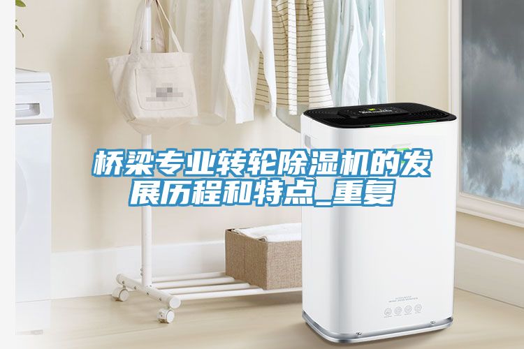 橋梁專業轉輪榴莲视频官网APP的發展曆程和特點_重複