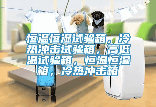 恒溫恒濕試驗箱，冷熱衝擊試驗箱，高低溫試驗箱，恒溫恒濕箱，冷熱衝擊箱