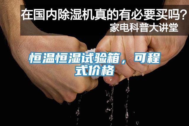 恒溫恒濕試驗箱，可程式價格