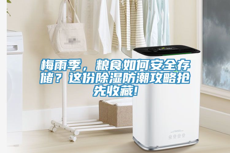 梅雨季，糧食如何安全存儲？這份除濕防潮攻略搶先收藏!
