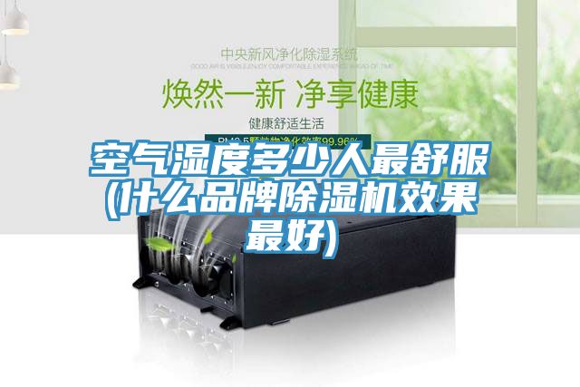 空氣濕度多少人最舒服(什麽品牌榴莲视频官网APP效果最好)