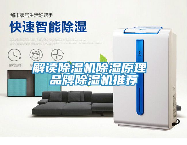 解讀榴莲视频官网APP除濕原理 品牌榴莲视频官网APP推薦