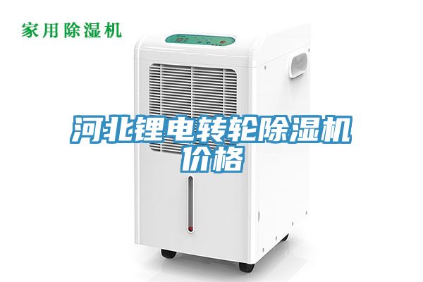 河北鋰電轉輪榴莲视频官网APP價格