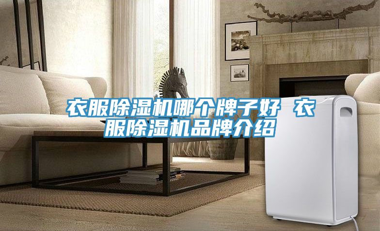衣服榴莲视频官网APP哪個牌子好 衣服榴莲视频官网APP品牌介紹