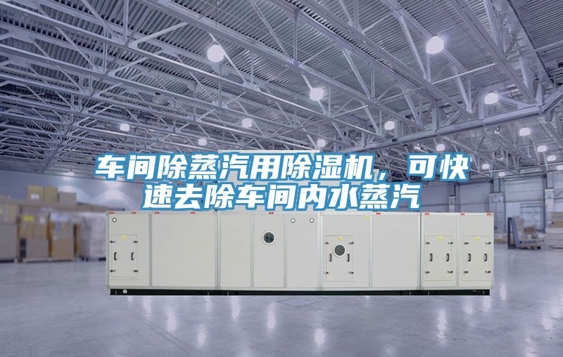 車間除蒸汽用榴莲视频官网APP，可快速去除車間內水蒸汽