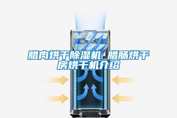臘肉烘幹榴莲视频官网APP 臘腸烘幹房烘幹機介紹