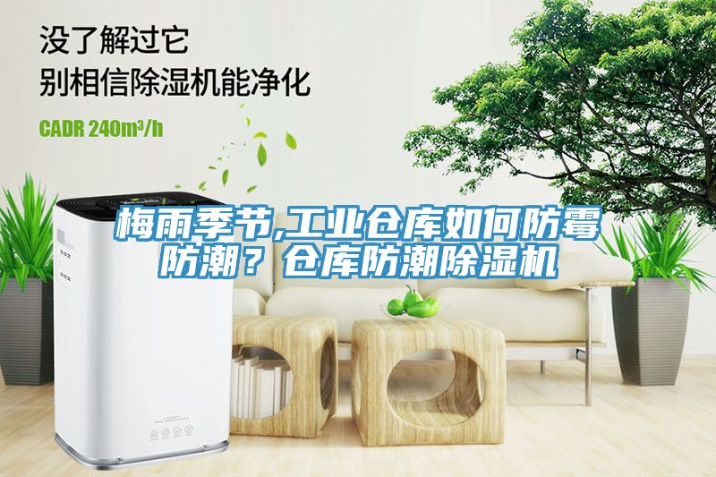梅雨季節,工業倉庫如何防黴防潮？倉庫防潮榴莲视频官网APP