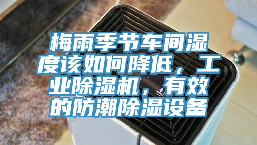 梅雨季節車間濕度該如何降低，工業榴莲视频官网APP，有效的防潮除濕設備
