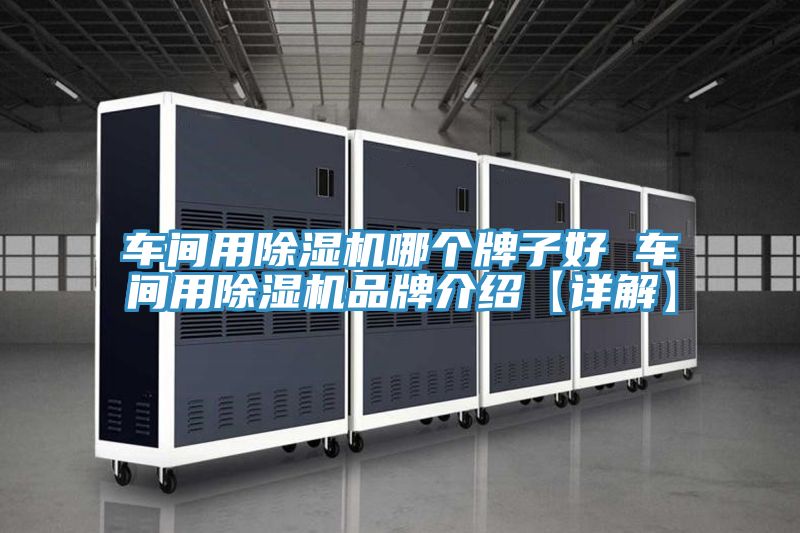車間用榴莲视频官网APP哪個牌子好 車間用榴莲视频官网APP品牌介紹【詳解】