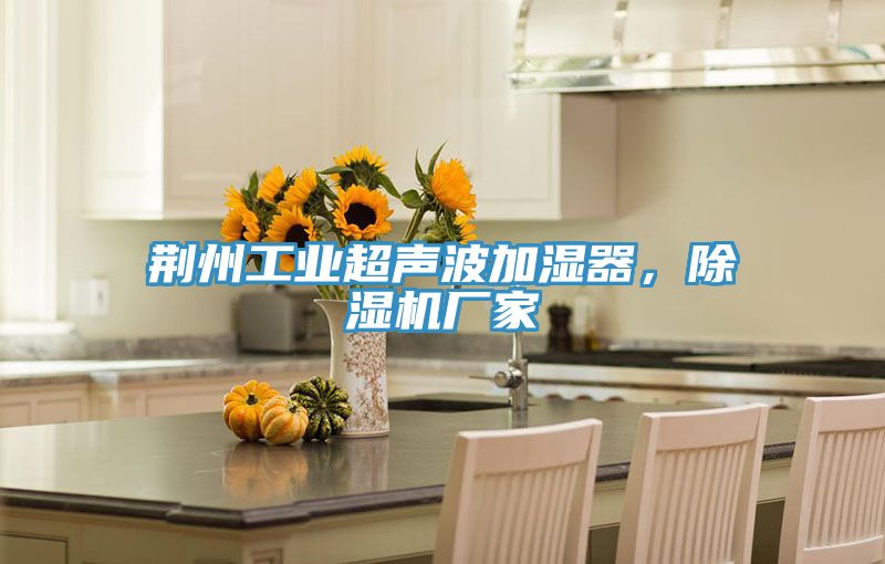 荊州工業超聲波加濕器，榴莲视频官网APP廠家