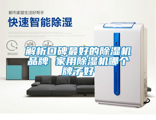 解析口碑最好的榴莲视频官网APP品牌 家用榴莲视频官网APP哪個牌子好