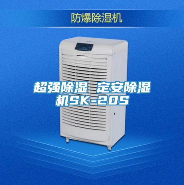 超強除濕 定安榴莲视频官网APPSK-20S