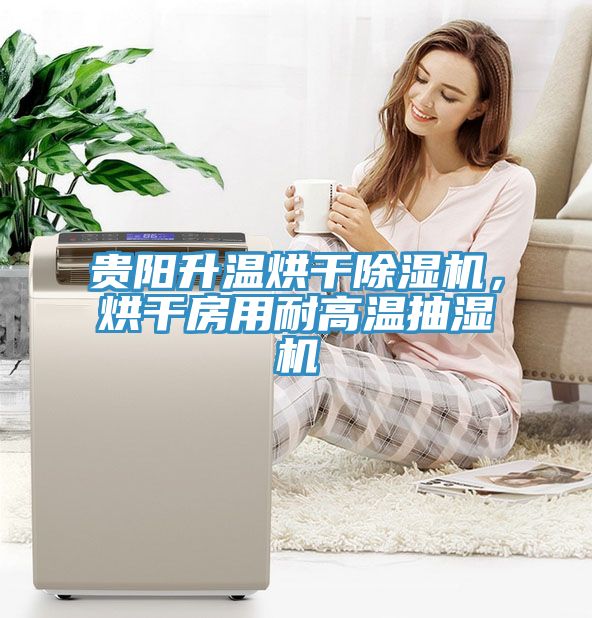 貴陽升溫烘幹榴莲视频官网APP，烘幹房用耐高溫抽濕機