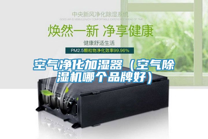 空氣淨化加濕器（空氣榴莲视频官网APP哪個品牌好）