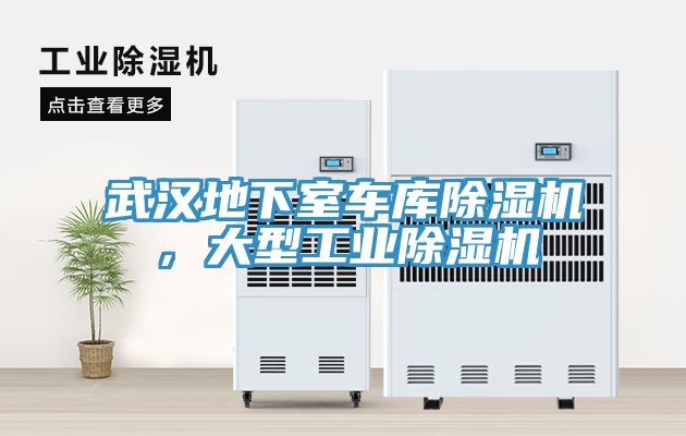 武漢地下室車庫榴莲视频官网APP，大型工業榴莲视频官网APP