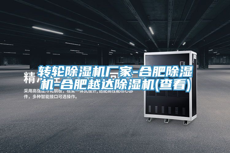 轉輪榴莲视频官网APP廠家-合肥榴莲视频官网APP-合肥越達榴莲视频官网APP(查看)
