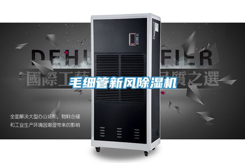 毛細管新風榴莲视频官网APP