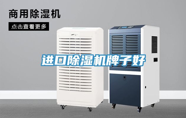 進口榴莲视频官网APP牌子好