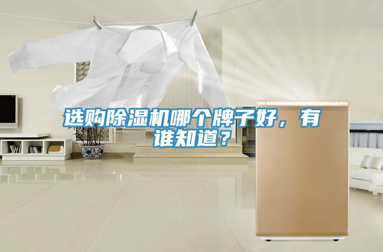 選購榴莲视频官网APP哪個牌子好，有誰知道？