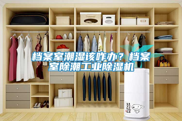 檔案室潮濕該咋辦？檔案室除潮工業榴莲视频官网APP
